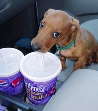 si smädny len sa napi