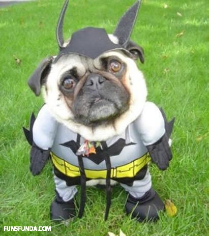 bat man pozor na neho :D