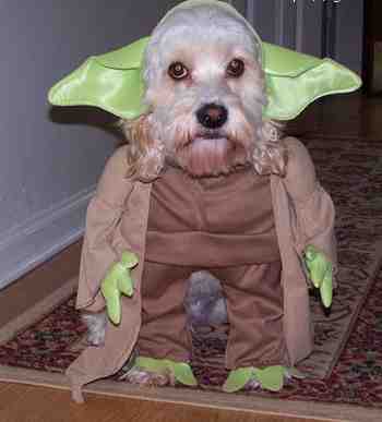 to je bud ryba alebo vodnik :D